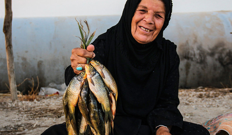 تصویر تصویر