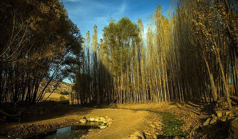 تصویر تصویر