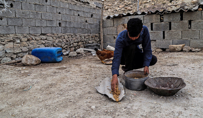 تصویر تصویر