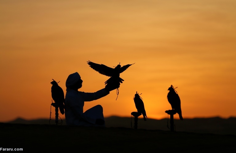 تصویر تصویر