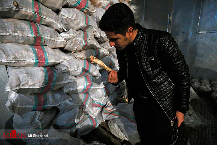 کشف ۱۰ تن کله‌پاچه فاسد در شرق تهران