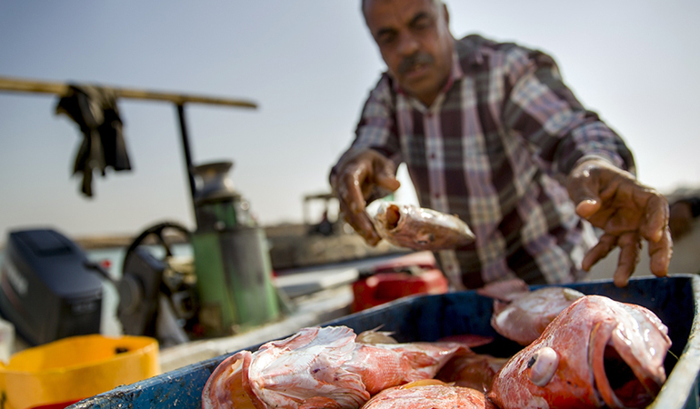 تصویر تصویر