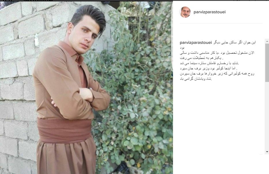(عکس) واکنش پرستویی به مرگ جوان کولبر (عکس) واکنش پرستویی به مرگ جوان کولبر