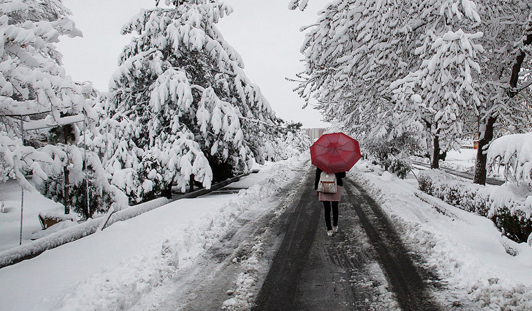 تصویر تصویر