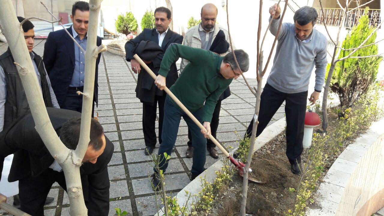 کاشت نهال توسط احمدی نژاد، بقایی و مشایی