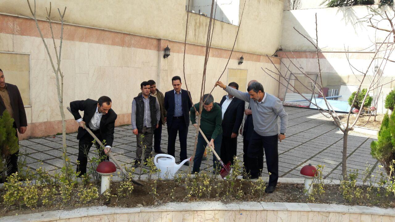 احمدی‌نژادی‌ها چی می‌کارند؟!
