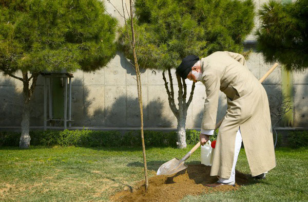 عدهای سوداگر به جان جنگلها و منابع کشور میافتند/ واردات میوه جزو کارهای غلط است عدهای سوداگر به جان جنگلها و منابع کشور میافتند/ واردات میوه جزو کارهای غلط است