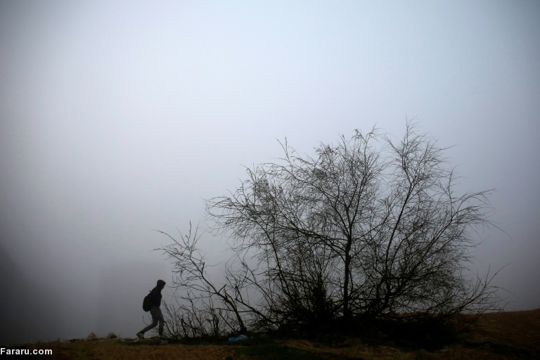 تصویر تصویر