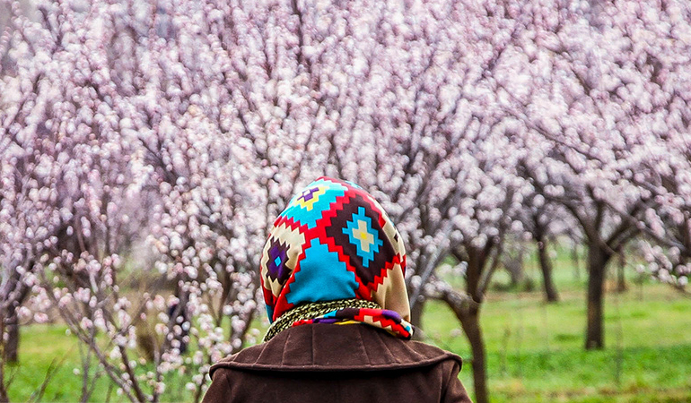 تصویر تصویر