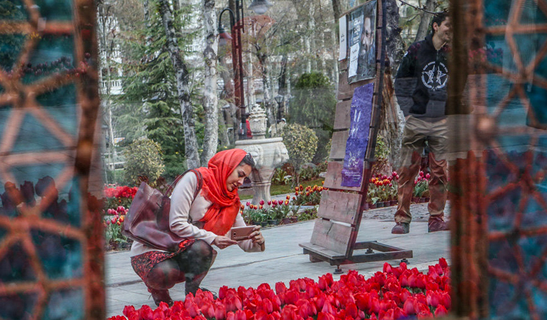 تصویر تصویر