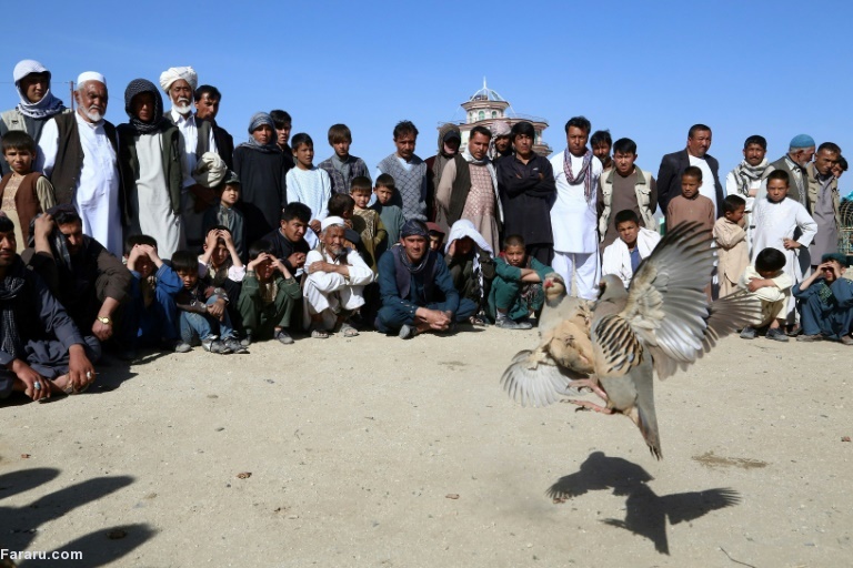 تصویر تصویر