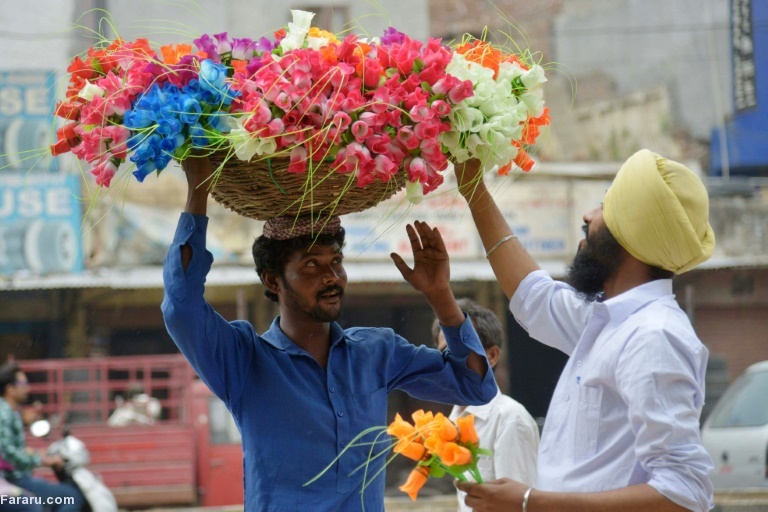 تصویر تصویر