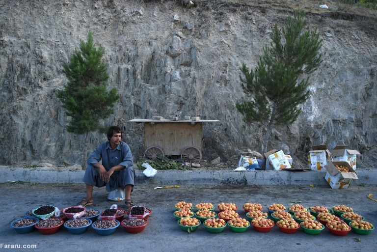 تصویر تصویر