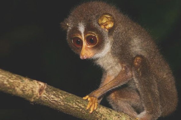 عجیب‌ترین چیزهایی که در هواپیما کشف شد!