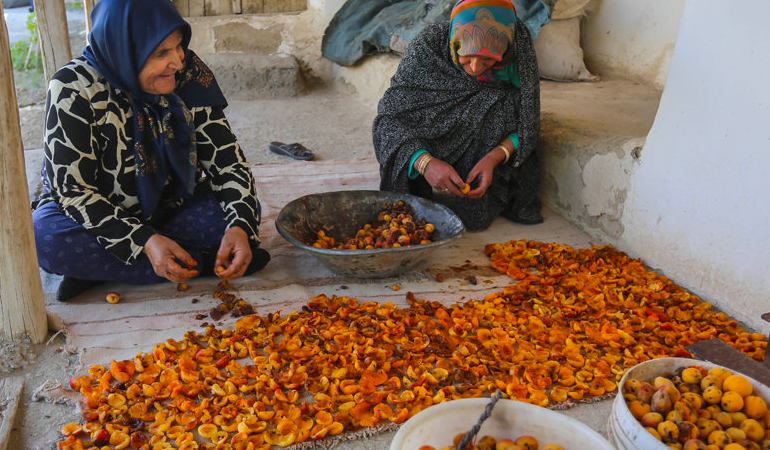 تصویر تصویر