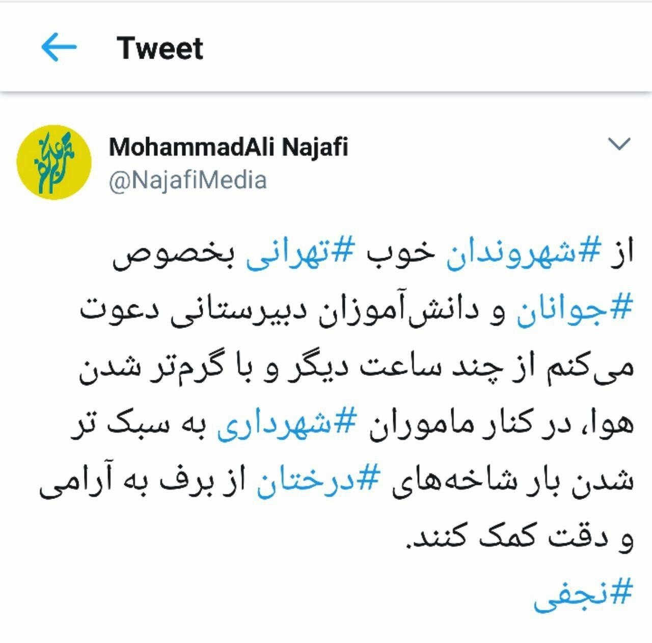 دعوت نجفی از جوانان برای کمک به شهرداری