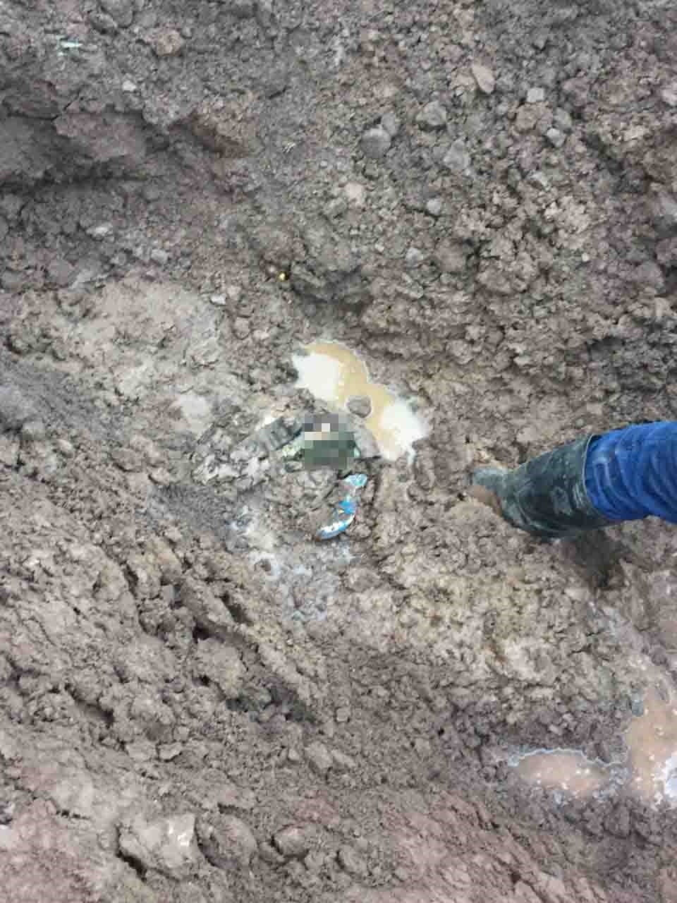 مادر زن دامادش را با ضربات سنگ کشت