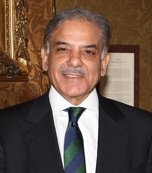 «شهباز شریف» جانشین برادر می‌شود