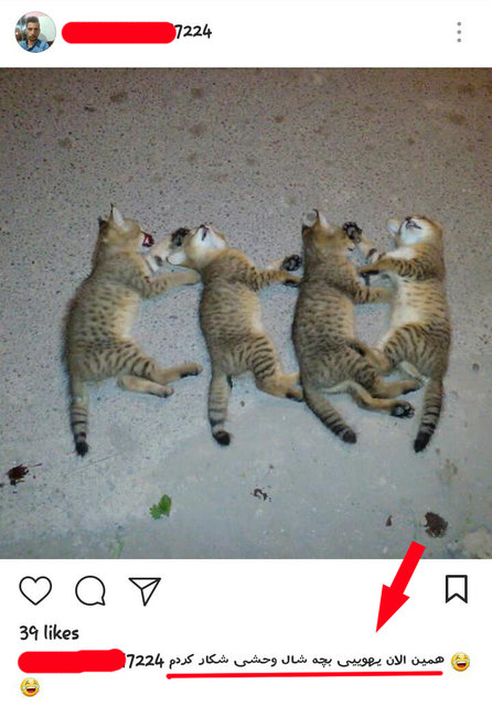 دردسر عکس یهویی برای شکارچی بی‌رحم آستانه