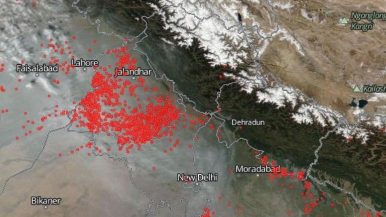(تصاویر) تقسیم ماسک رایگان در دهلی نو (تصاویر) تقسیم ماسک رایگان در دهلی نو