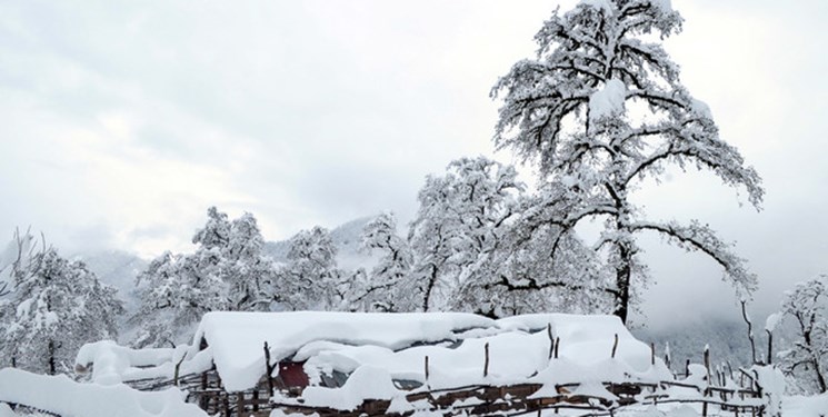 بارش ۲۵ سانتی‌متری برف در مازندران