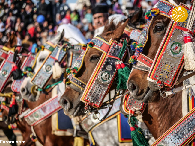 (تصاویر) جشنواره صحرا