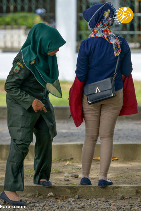 (تصاویر)