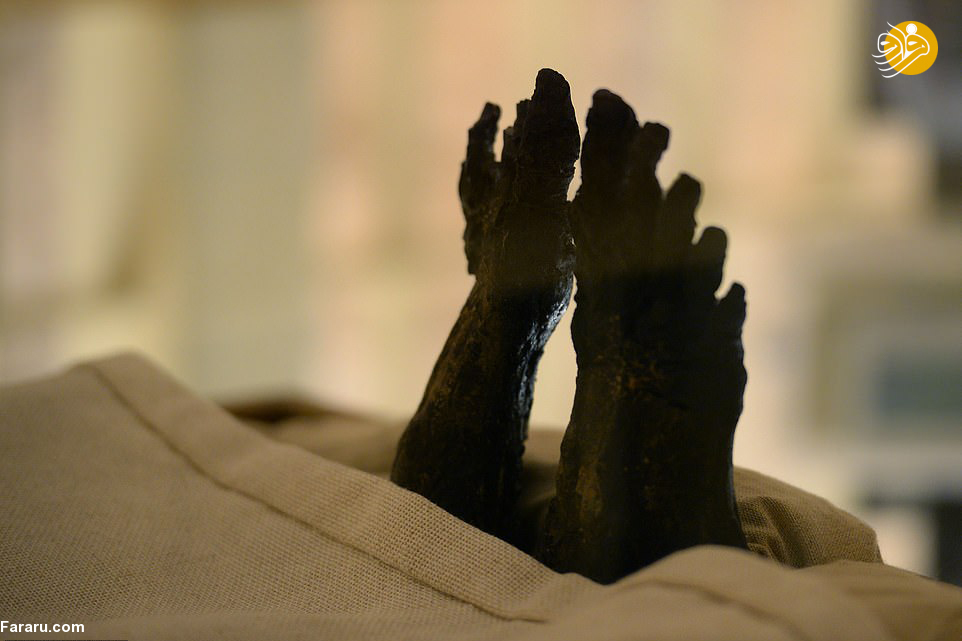 (تصاویر)