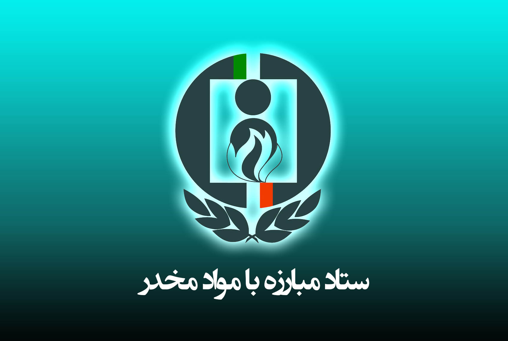  ستاد مبارزه با مواد مخدر 