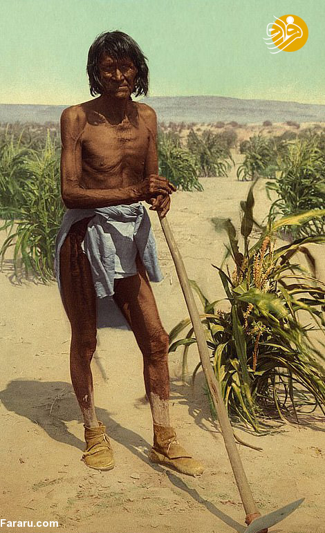(تصاویر)