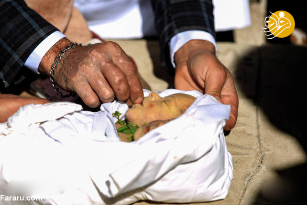 (تصاویر)