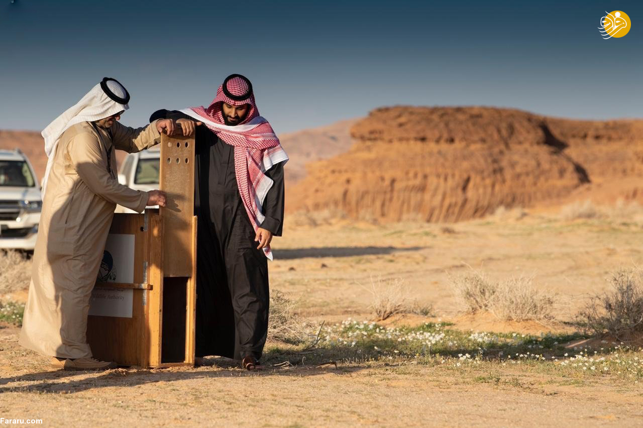 (تصاویر)