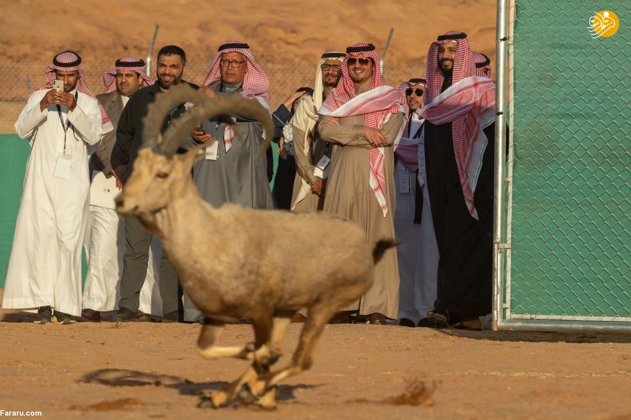 (تصاویر)