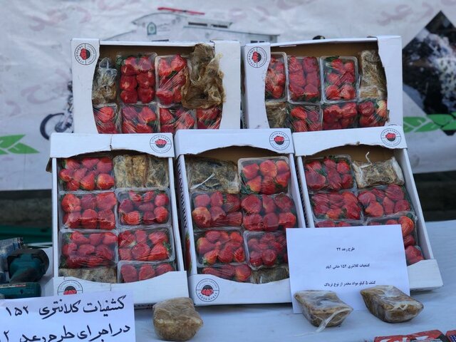 (تصاویر) کشف تریاک‌فرنگی در تره‌بار