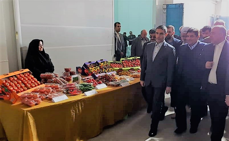 گلخانه هیدروپونیک