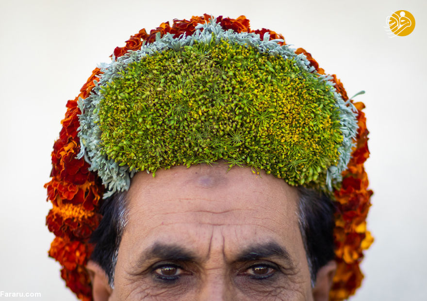 (تصاویر)