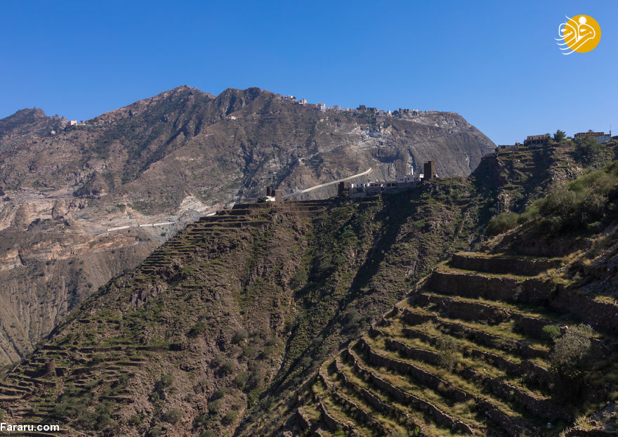 (تصاویر)