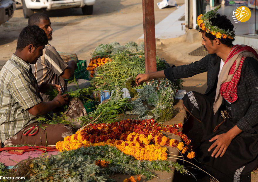 (تصاویر)