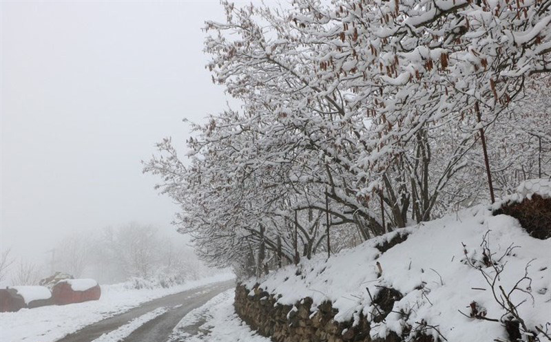 آخرین وضعیت راهها؛ بارش و باران در جادههای ۸ استان آخرین وضعیت راهها؛ بارش و باران در جادههای ۸ استان