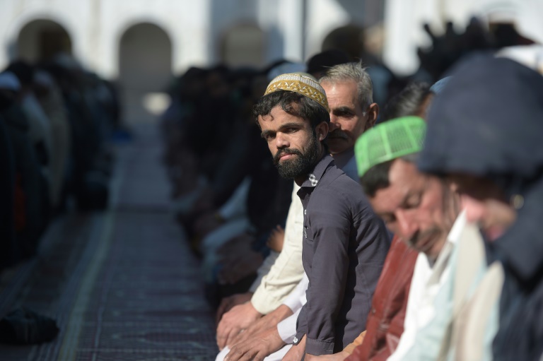 بدل تیریون لنیستر در پاکستان پیدا شد! بدل تیریون لنیستر در پاکستان پیدا شد!