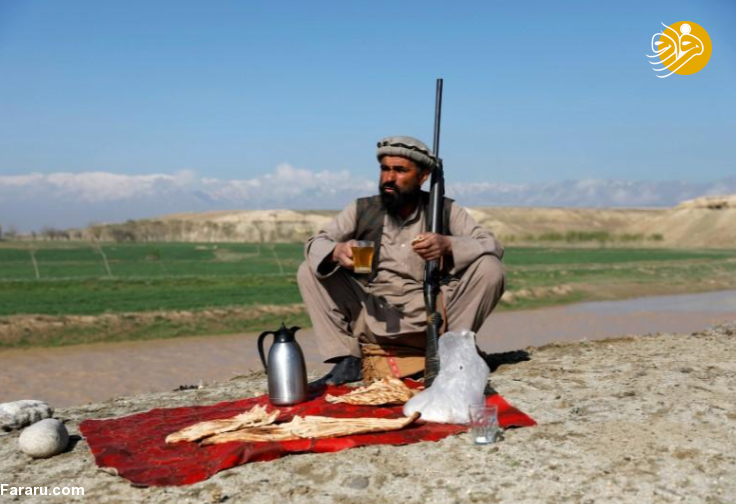 (تصاویر)