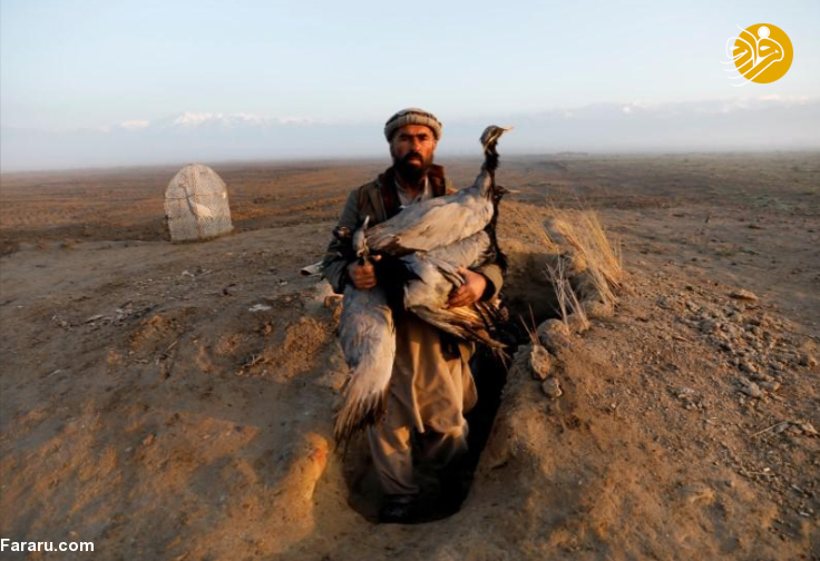 (تصاویر)