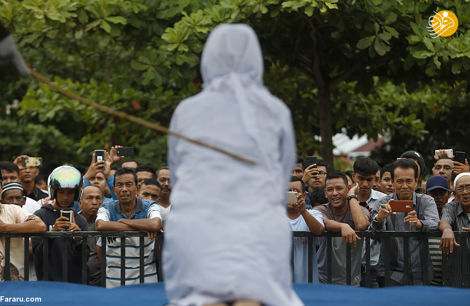 (تصاویر)