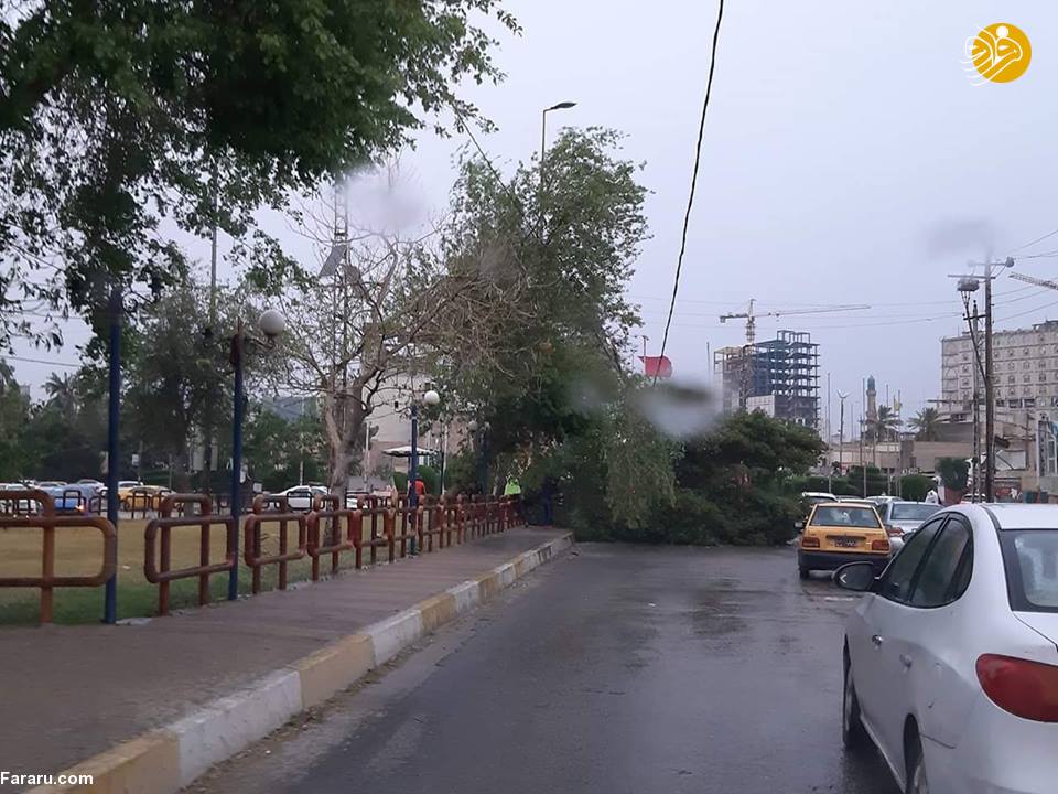 (تصاویر)