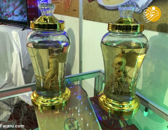 (تصاویر)