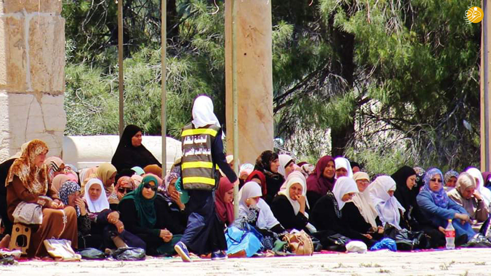 (تصاویر)