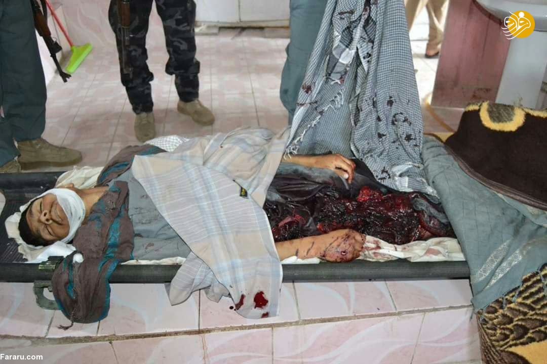 (تصاویر)