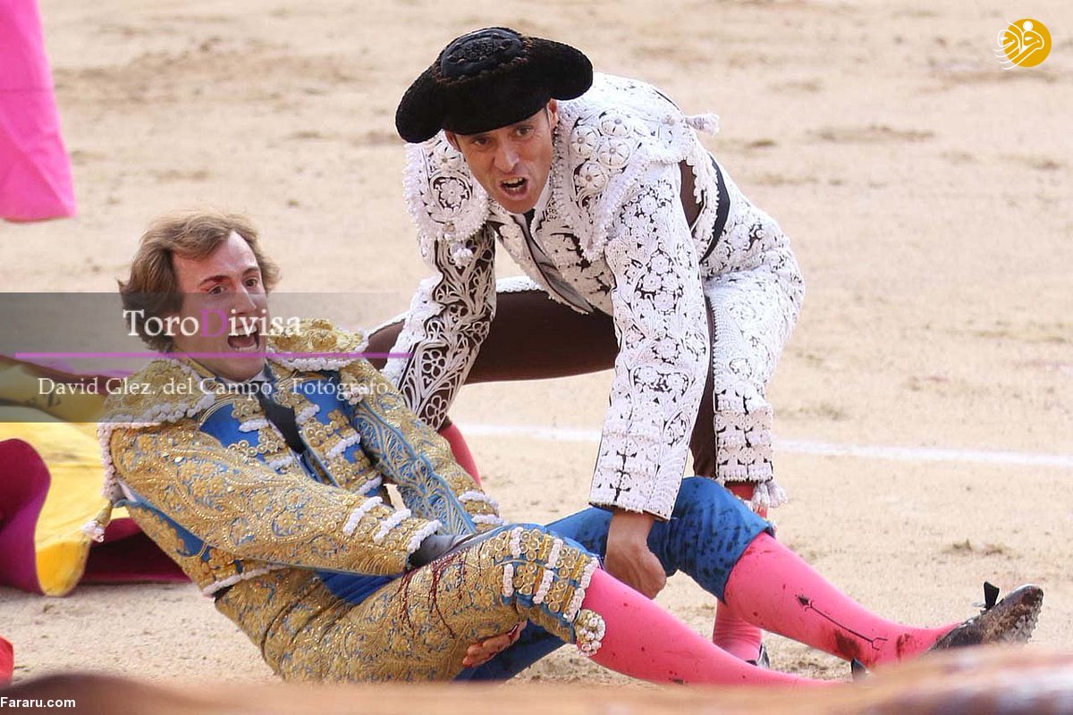 (تصاویر)