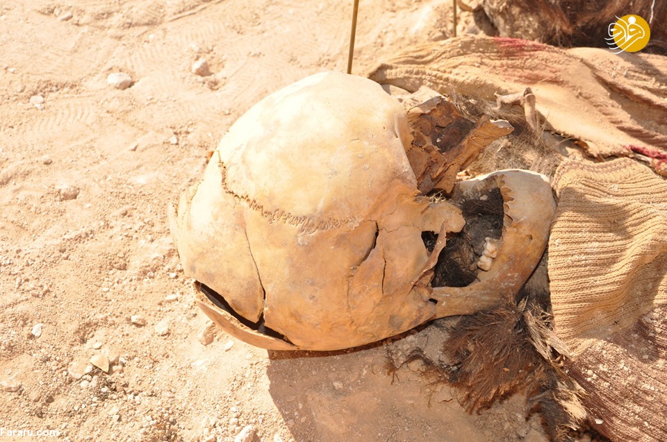 (تصاویر)
