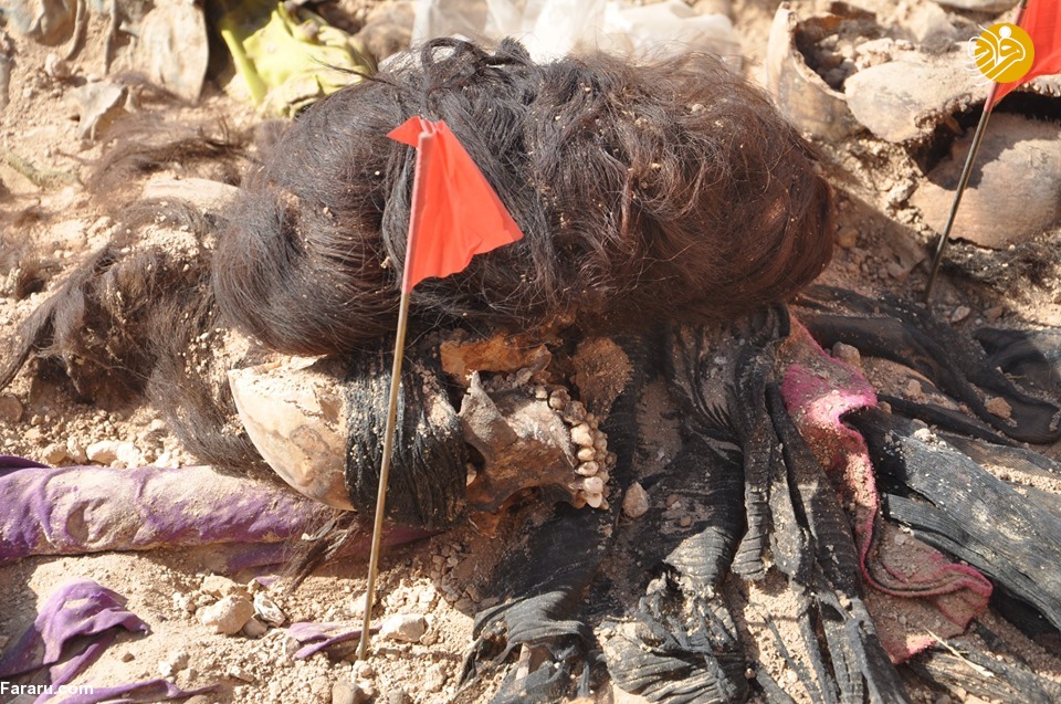 (تصاویر)